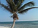 Mexico 2005 112.jpg